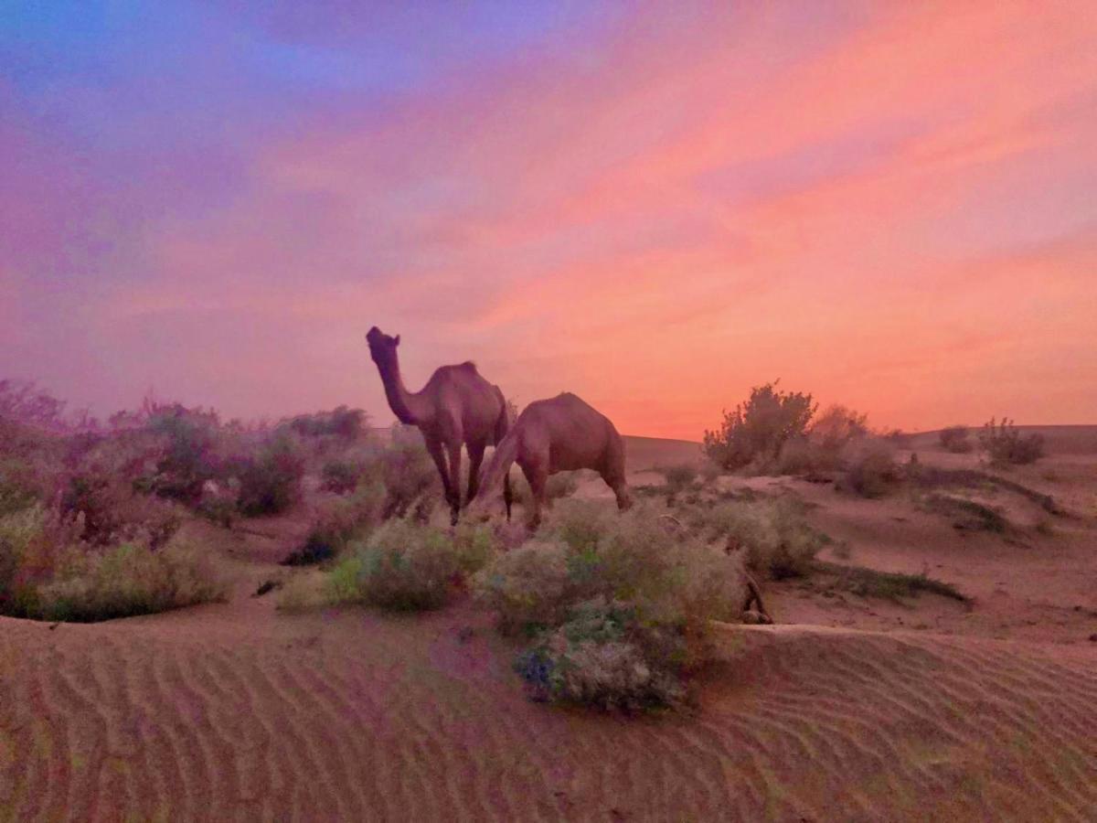 Hotel Desert Bloom Džaisalmér Exteriér fotografie